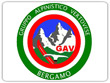 G.A.V.